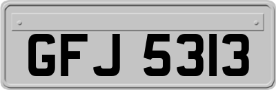 GFJ5313
