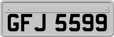 GFJ5599