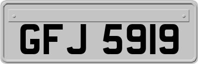 GFJ5919