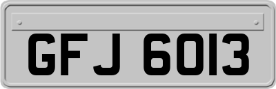 GFJ6013