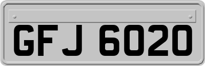 GFJ6020