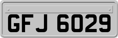 GFJ6029