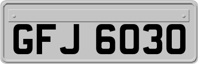 GFJ6030