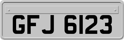 GFJ6123