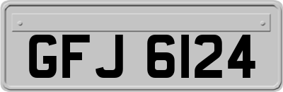 GFJ6124