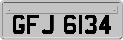 GFJ6134
