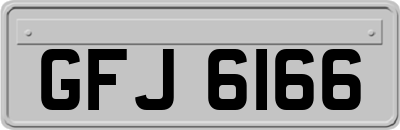 GFJ6166