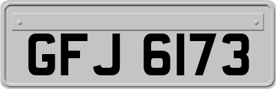 GFJ6173