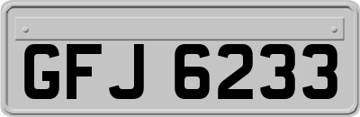 GFJ6233