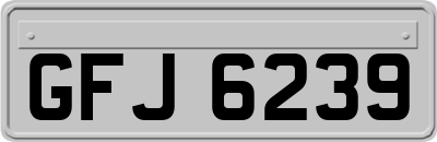 GFJ6239