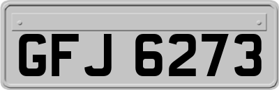 GFJ6273