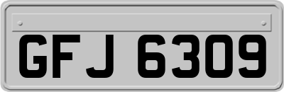 GFJ6309