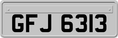 GFJ6313