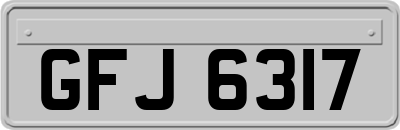 GFJ6317