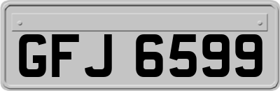 GFJ6599