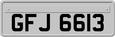 GFJ6613