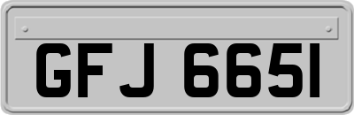 GFJ6651