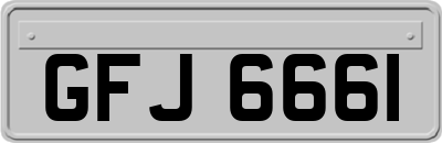 GFJ6661