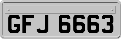 GFJ6663