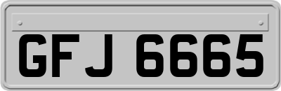 GFJ6665