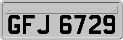 GFJ6729