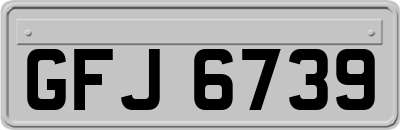 GFJ6739