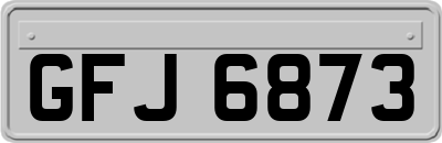 GFJ6873