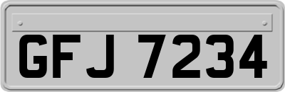 GFJ7234
