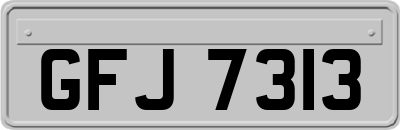 GFJ7313