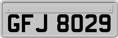 GFJ8029