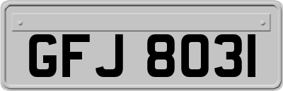 GFJ8031
