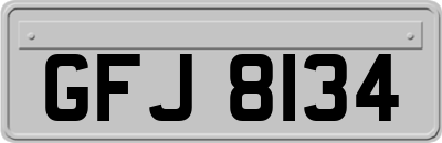 GFJ8134