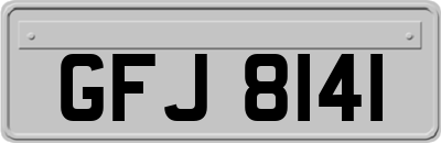 GFJ8141