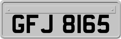 GFJ8165