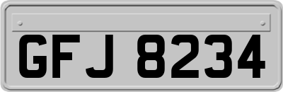 GFJ8234