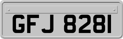 GFJ8281