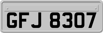 GFJ8307