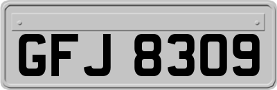 GFJ8309