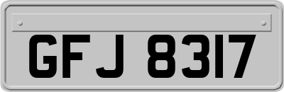 GFJ8317