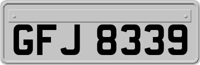 GFJ8339