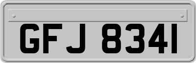 GFJ8341