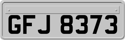 GFJ8373
