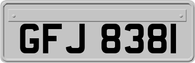 GFJ8381