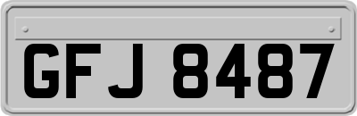 GFJ8487