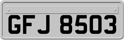 GFJ8503