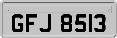 GFJ8513
