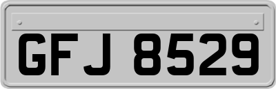 GFJ8529
