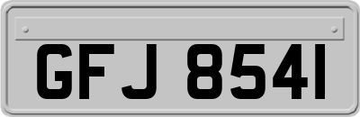 GFJ8541