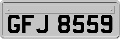 GFJ8559