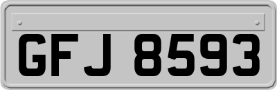 GFJ8593